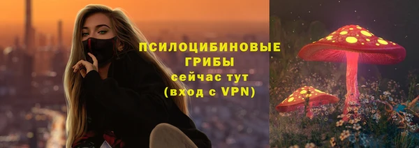 индика Новокубанск