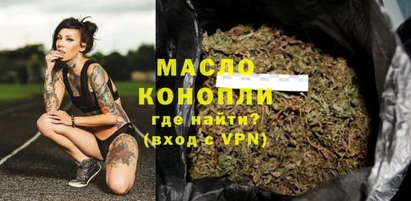 индика Нефтекумск