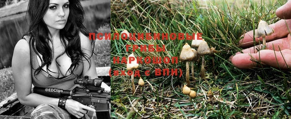 первитин Нея