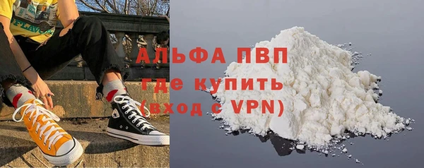 индика Новокубанск