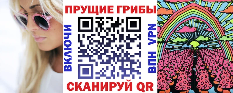Псилоцибиновые грибы Cubensis  Ивангород 